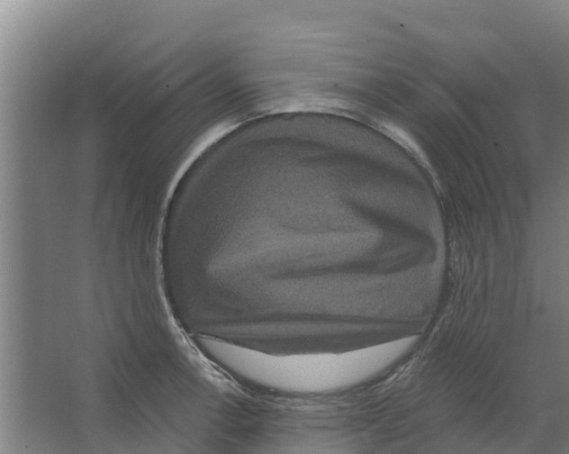 X0000066531138200604141833