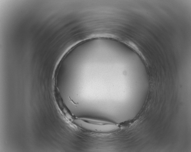 X0000066531140200604141833