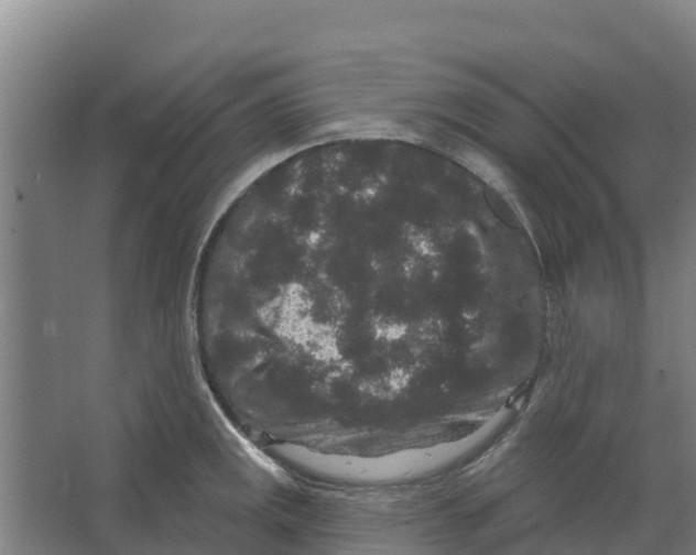 X0000066531141200604141833