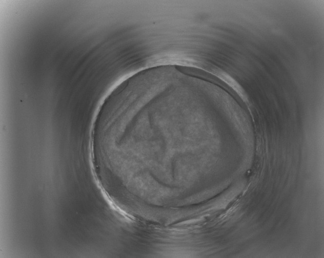 X0000066531144200604141833