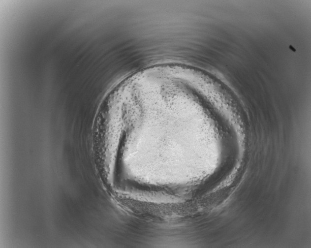 X0000066531145200604141833