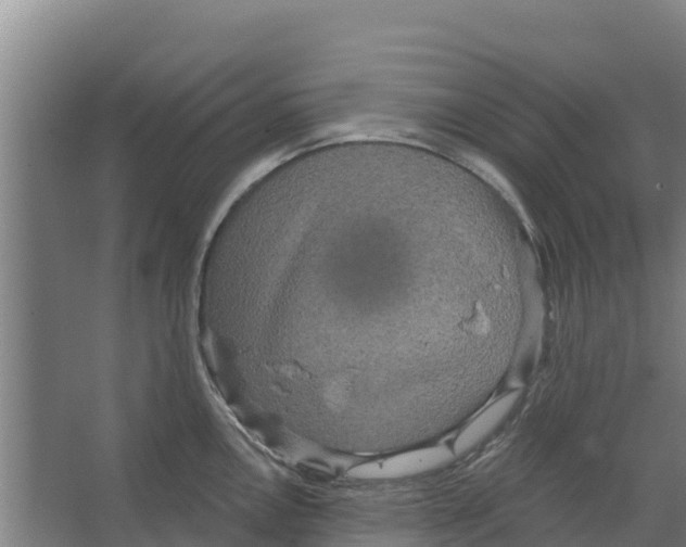 X0000066531146200604141833