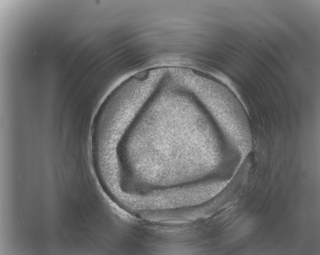 X0000066531147200604141833