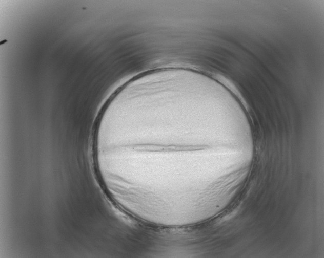 X0000066531149200604141833