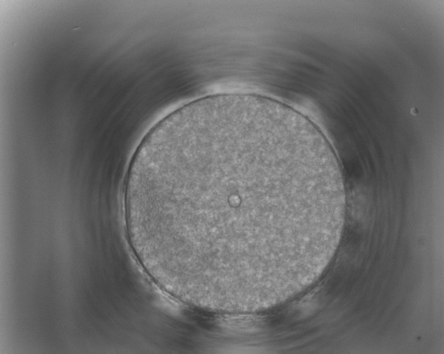 X0000066531150200604141833