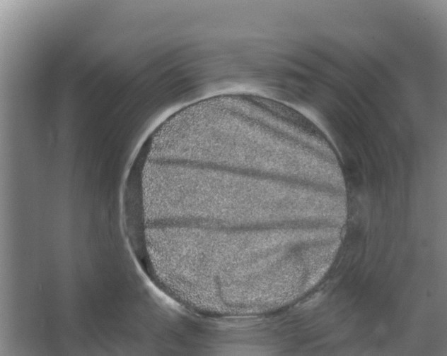 X0000066531151200604141833