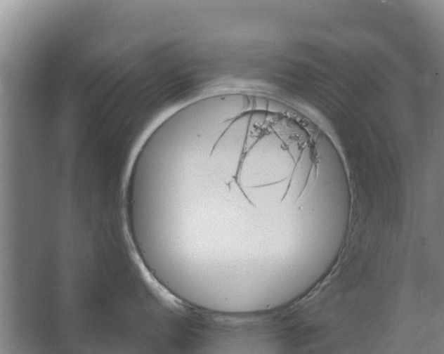 X0000066531152200604141833