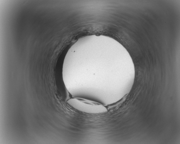 X0000066531153200604141832