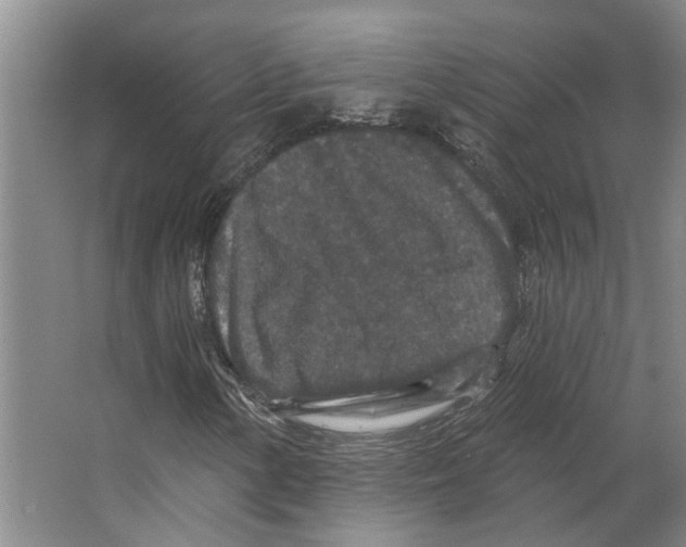 X0000066531154200604141832