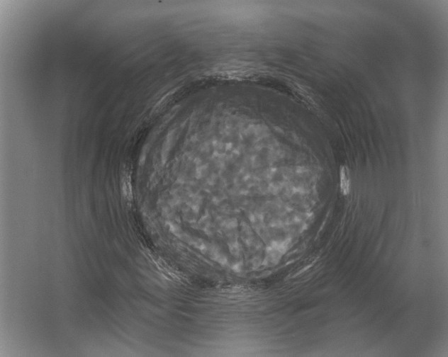 X0000066531155200604141832