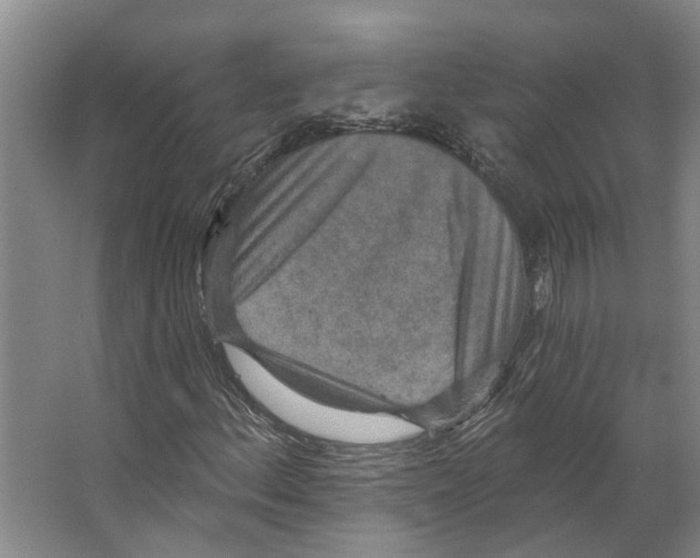 X0000066531156200604141832