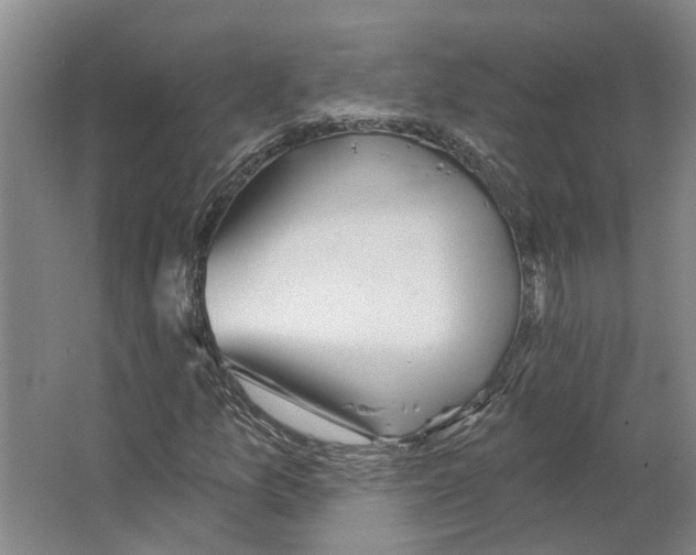 X0000066531157200604141832