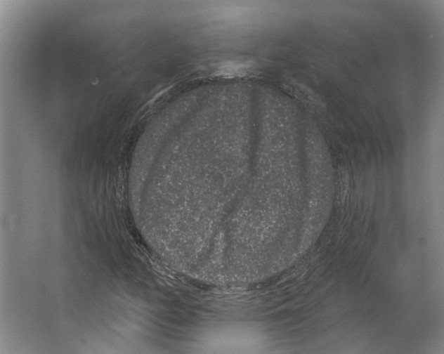 X0000066531158200604141832