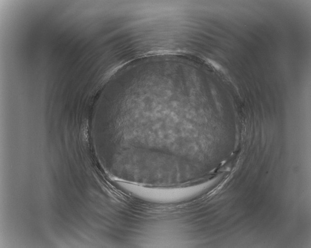 X0000066531161200604141832