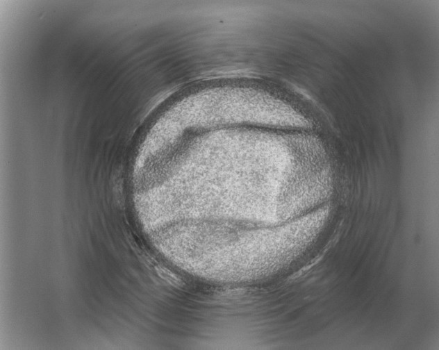 X0000066531162200604141832