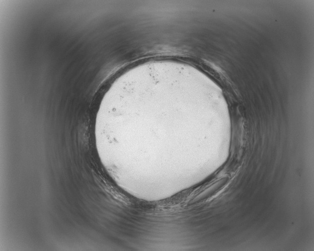 X0000066531163200604141832