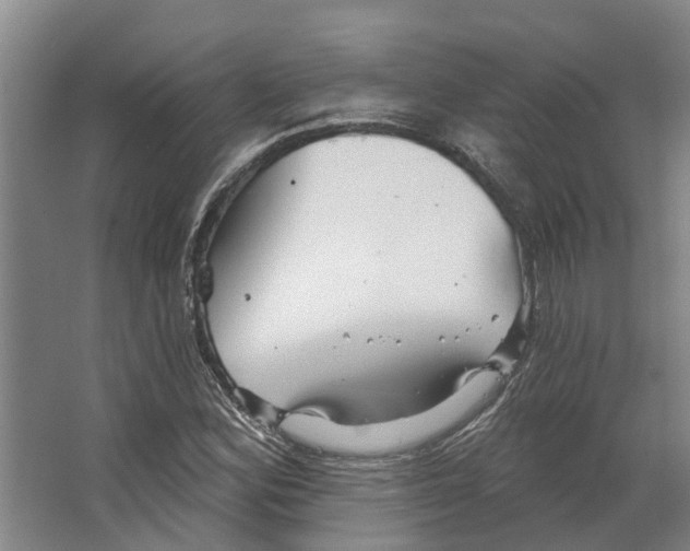 X0000066531164200604141832