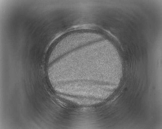 X0000066531166200604141832