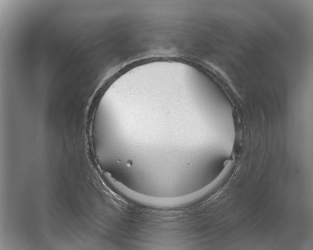 X0000066531168200604141832