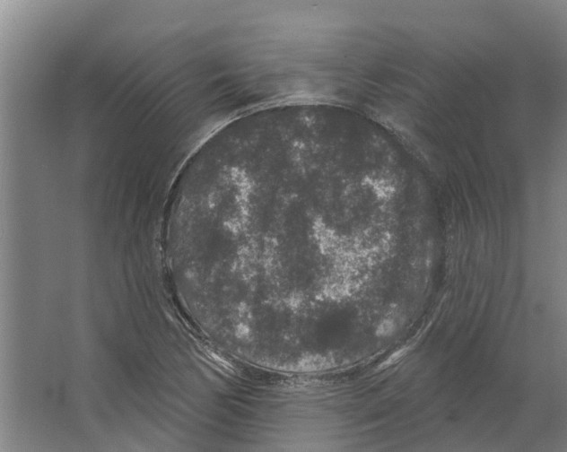 X0000066531170200604141832