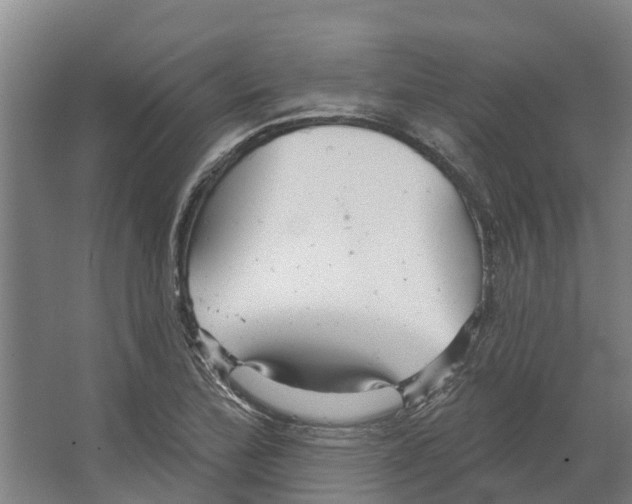 X0000066531172200604141832