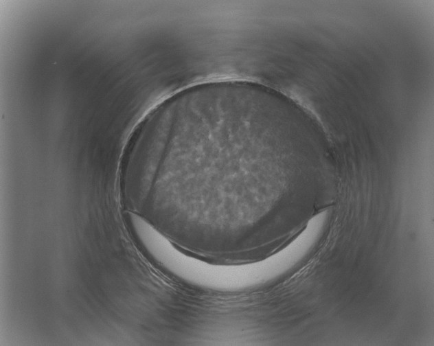 X0000066531173200604141832