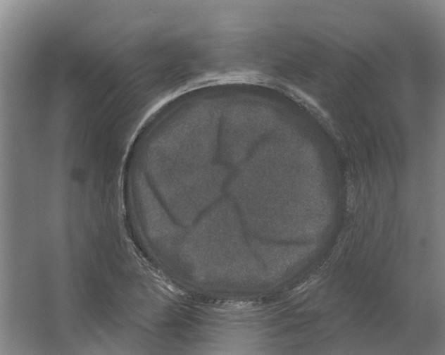 X0000066531174200604141832