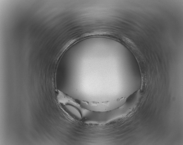 X0000066531177200604141832