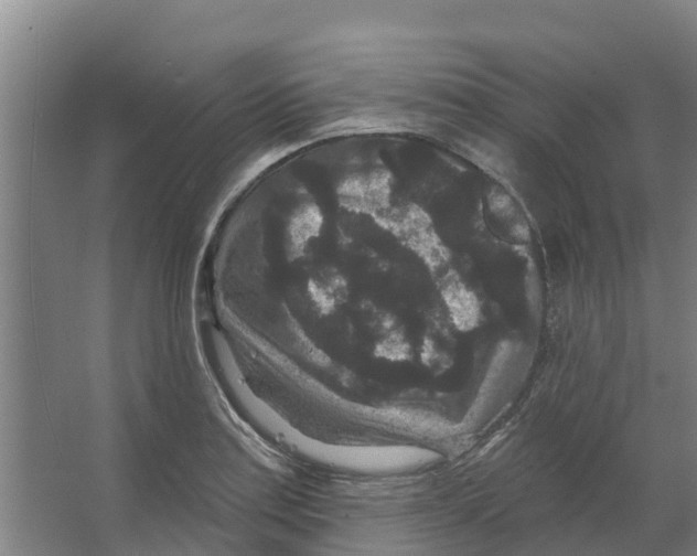 X0000066531179200604141832