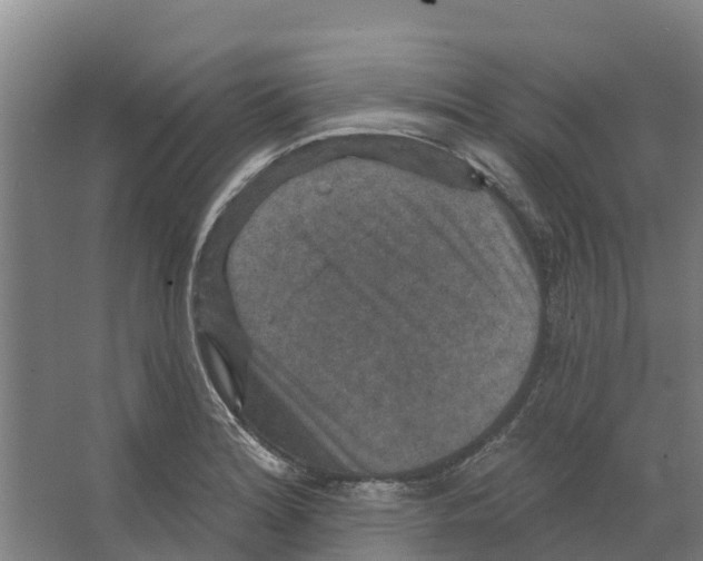 X0000066531180200604141832