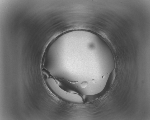 X0000066531181200604141832