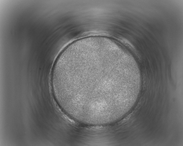 X0000066531182200604141832