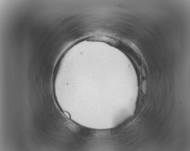 X0000066531183200604141832