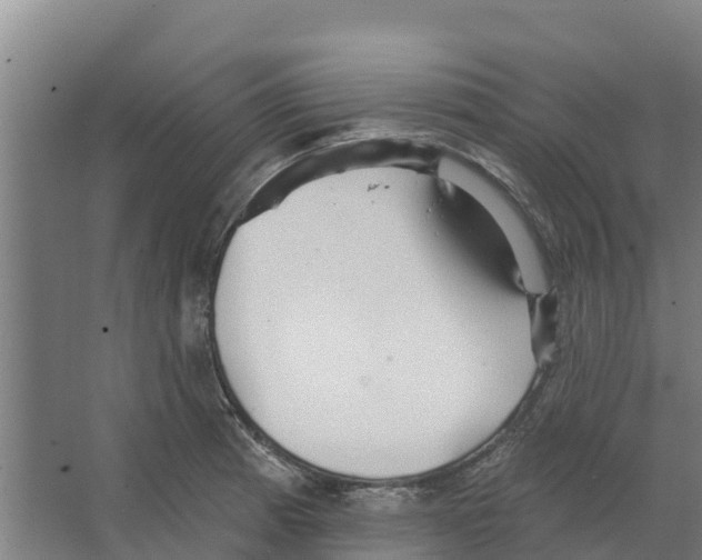 X0000066531185200604141832