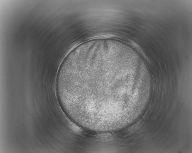 X0000066531186200604141832