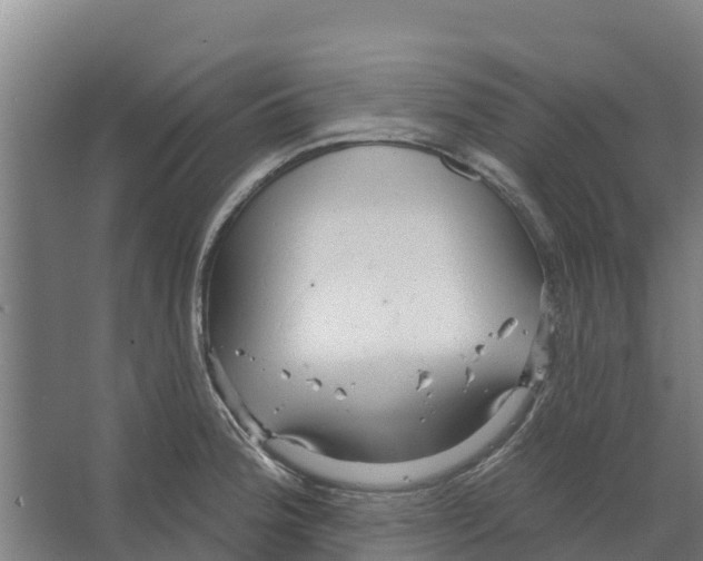 X0000066531188200604141832