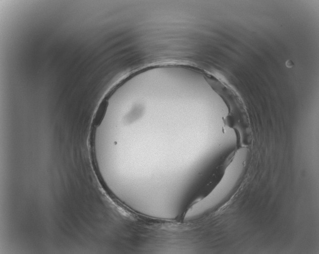 X0000066531189200604141832