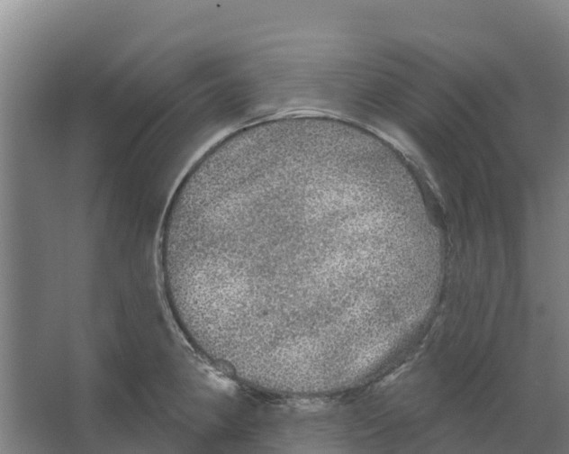 X0000066531190200604141832