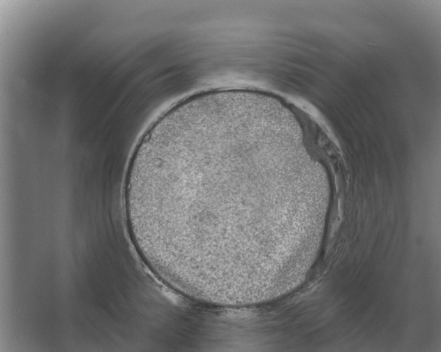 X0000066531191200604141832