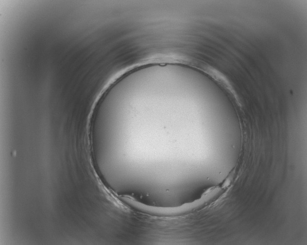 X0000066531192200604141832