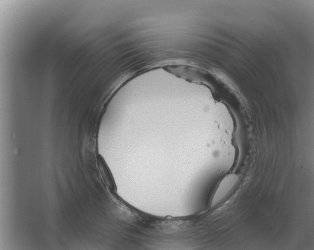 X0000066531193200604141832