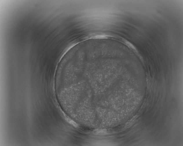 X0000066531194200604141832