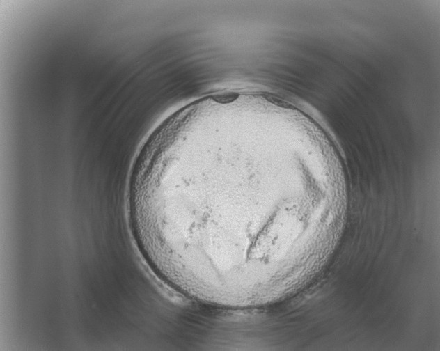 X0000066531195200604141832