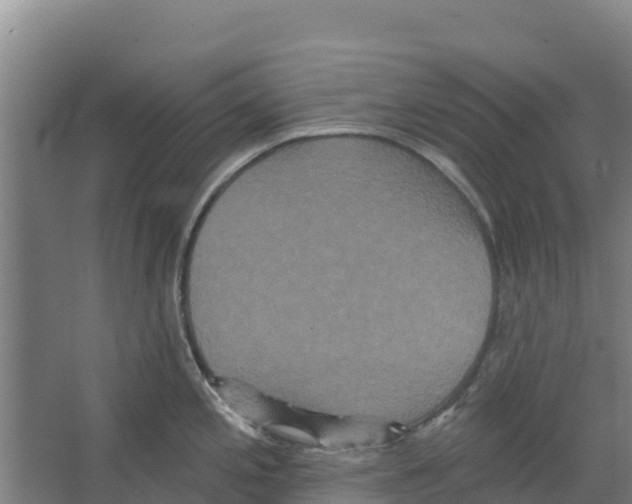 X0000066531197200604141831