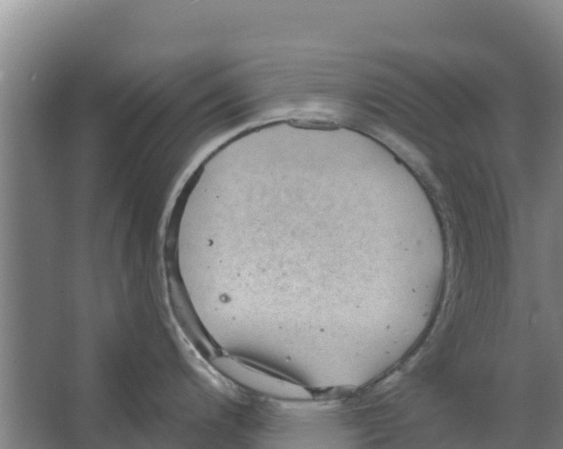 X0000066531200200604141831