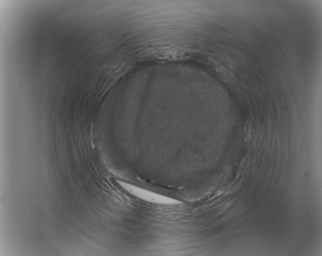 X0000066531202200604141831