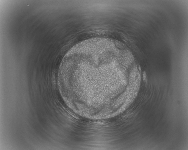 X0000066531203200604141831