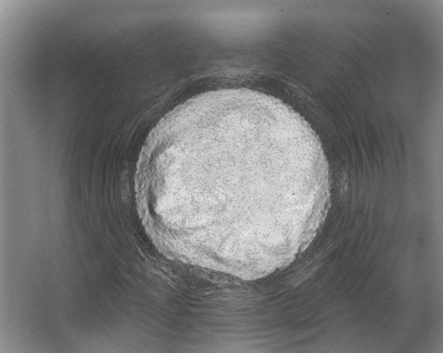 X0000066531204200604141831