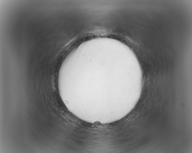 X0000066531205200604141831