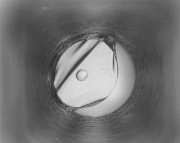 X0000066531206200604141831